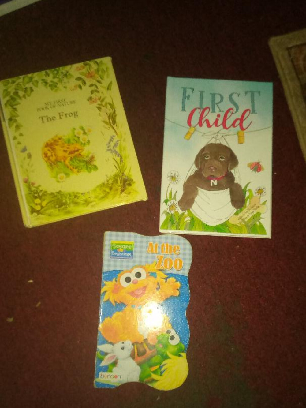 Children's Board Books Set The Frog First Child At The Zoo Zebra